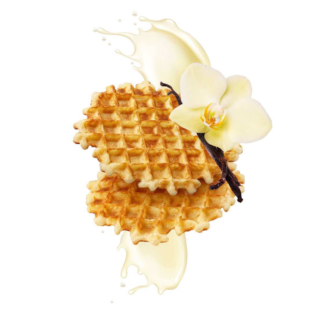 Isolat Vegan 1 kg - Saveur Gaufre Belge